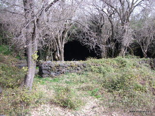 conco di Liricio-24-03-2013 10-20-49